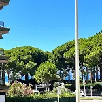 Cannes Palm Beach