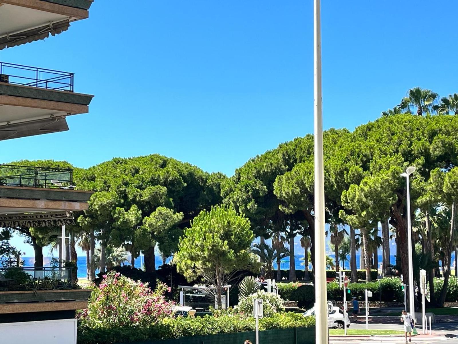 Palm Appartement *